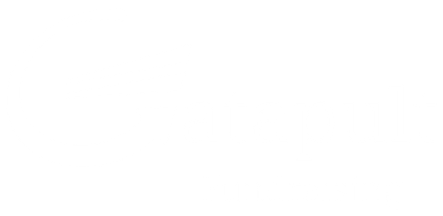 Catapult Fundraising Logo